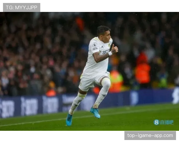 拉菲尼亚距离巴西核心有多远：边路爆点与中路适配性分析